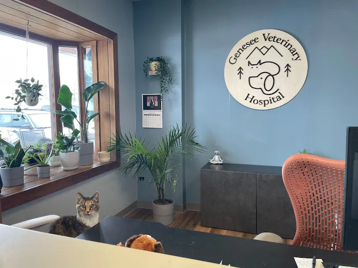 Genesee Veterinary Hospital Picture 6
