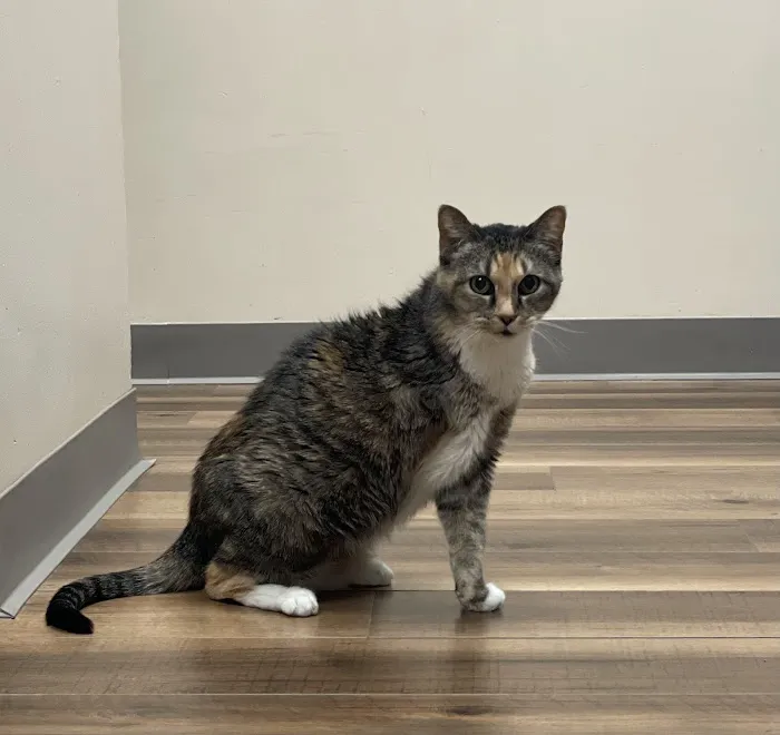 Genesee Veterinary Hospital Picture 7