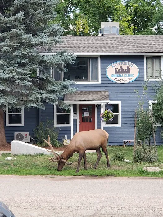 Kittredge Animal Clinic Picture 6