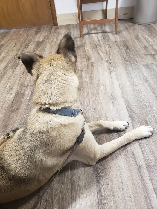 Kittredge Animal Clinic Picture 8