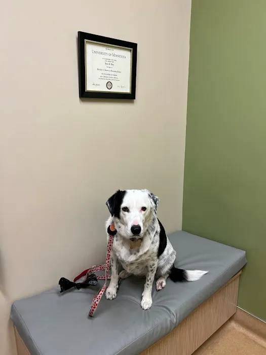 Elk Meadow Veterinary Hospital Picture 2