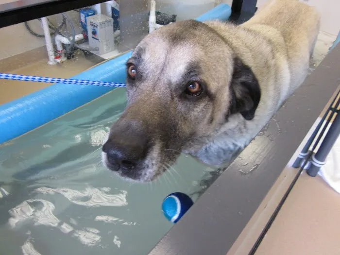 Elk Meadow Veterinary Hospital Picture 8