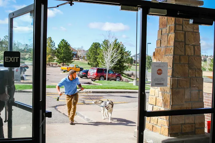 Dugan's Veterinary Hospital Picture 1