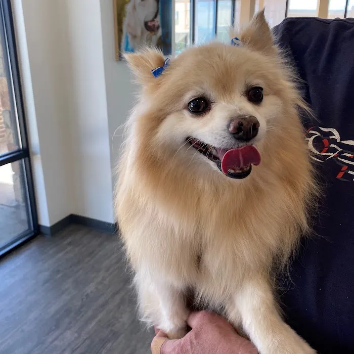 Dugan's Veterinary Hospital Picture 10