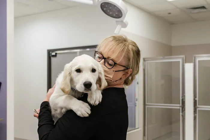 Dugan's Veterinary Hospital Picture 7