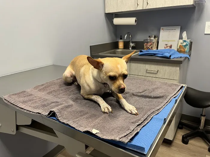 Inspire Animal Hospital Picture 10