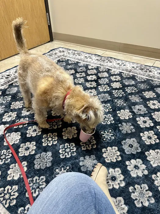 PetVet365 Pet Hospital Denver - Highlands Ranch Picture 10
