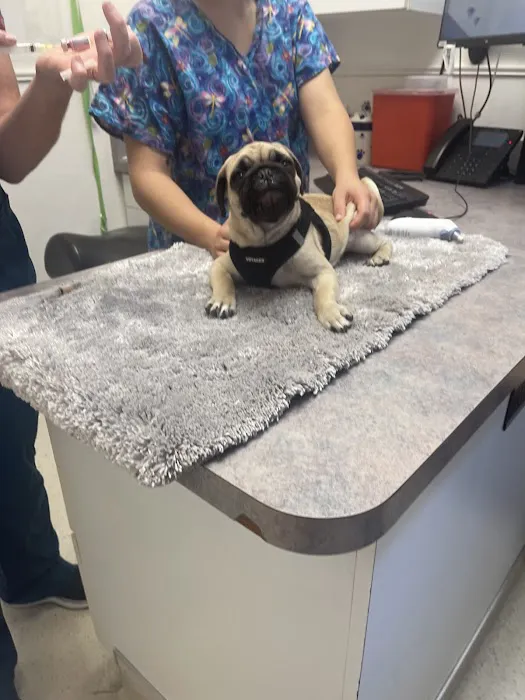 Banfield Pet Hospital Picture 8