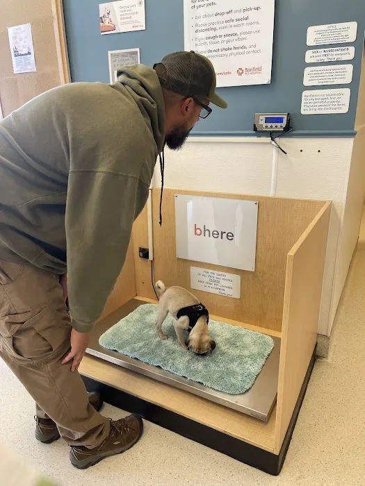 Banfield Pet Hospital Picture 5