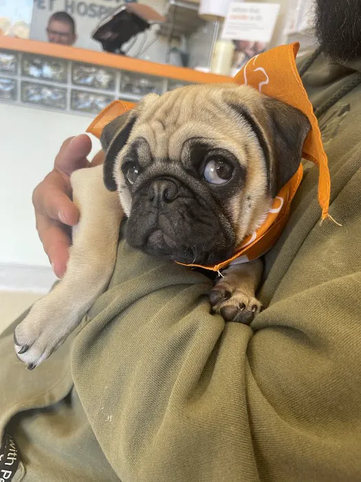 Banfield Pet Hospital Picture 7