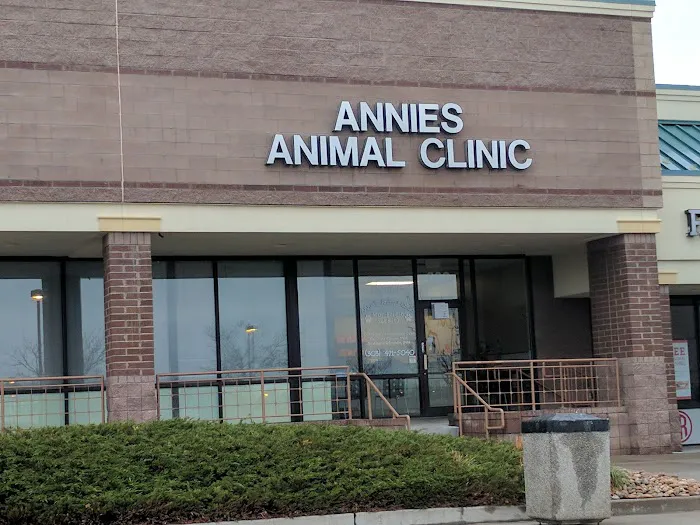 Banfield Pet Hospital Picture 6