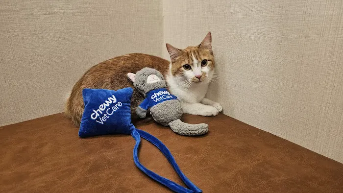 Chewy Vet Care Highlands Ranch Picture 3