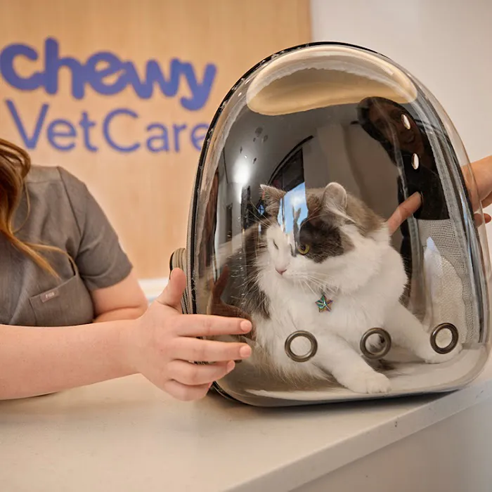 Chewy Vet Care Highlands Ranch Picture 6