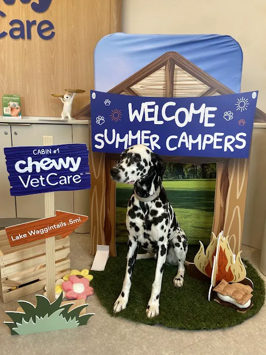 Chewy Vet Care Highlands Ranch Picture 8