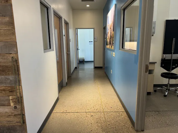 Vetco Total Care Animal Hospital Picture 5