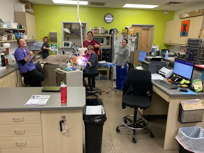 Vetco Total Care Animal Hospital Picture 10