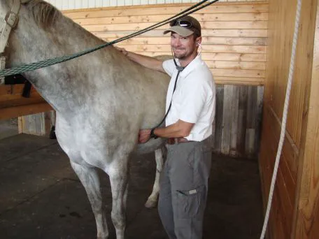 Aggie Vet and Farrier Services Picture 1