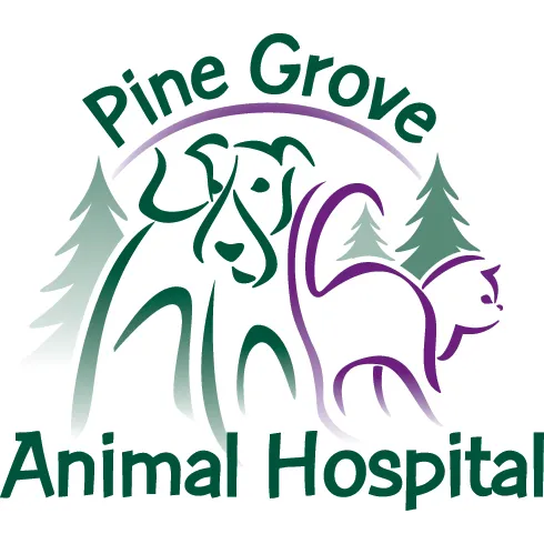 Pine Grove Animal Hospital, A Thrive Pet Healthcare Partner Picture 7