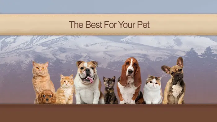 Pine Grove Animal Hospital, A Thrive Pet Healthcare Partner Picture 10