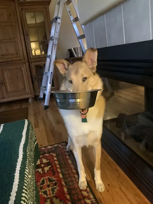Advanced Pet Care of Parker Picture 9