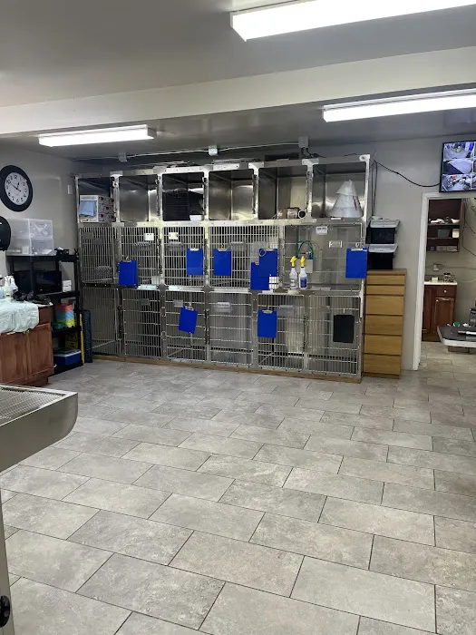 New All Creatures Veterinary Hospital Picture 3