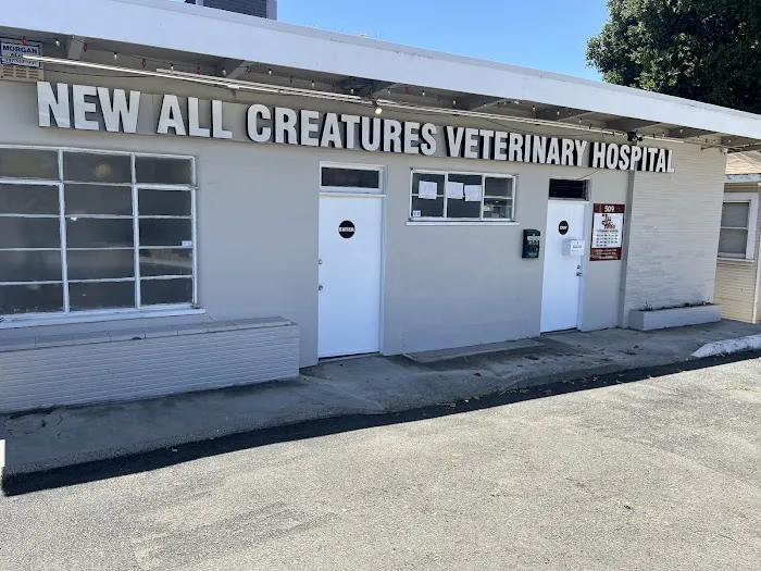 New All Creatures Veterinary Hospital Picture 9
