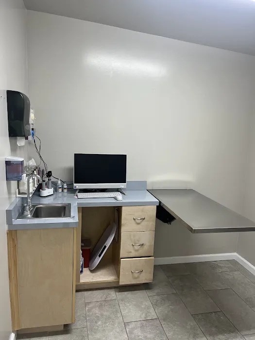 New All Creatures Veterinary Hospital Picture 5