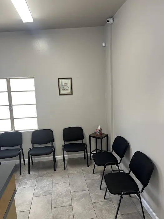 New All Creatures Veterinary Hospital Picture 8
