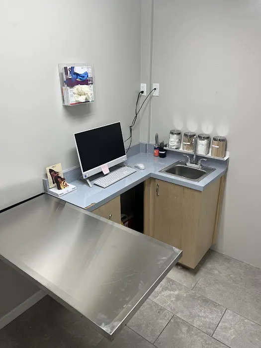 New All Creatures Veterinary Hospital Picture 2
