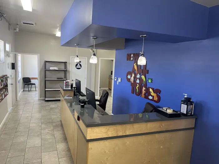 New All Creatures Veterinary Hospital Picture 4