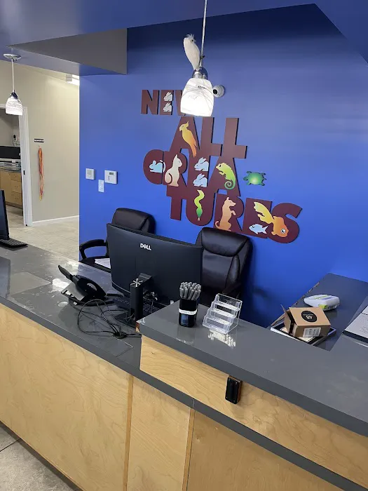New All Creatures Veterinary Hospital Picture 7