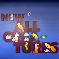 New All Creatures Veterinary Hospital ico
