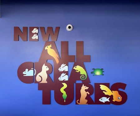 New All Creatures Veterinary Hospital