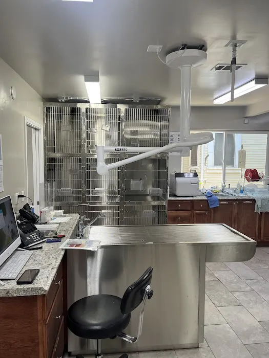 New All Creatures Veterinary Hospital Picture 10