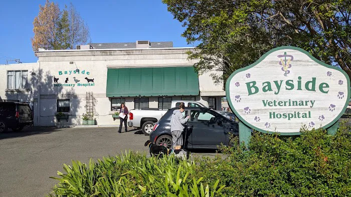 Bayside Veterinary Hospital Picture 2