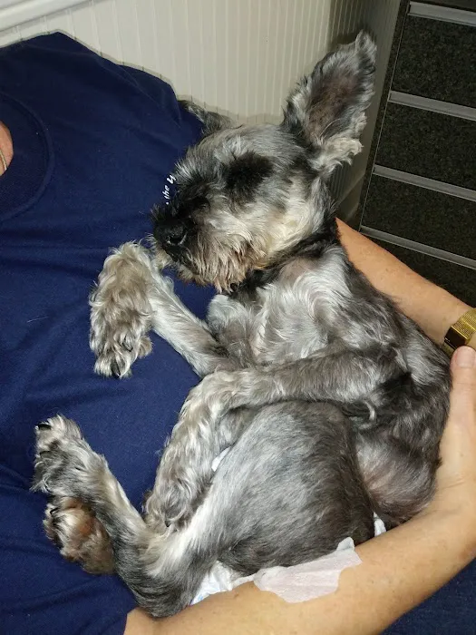 Bayside Veterinary Hospital Picture 7