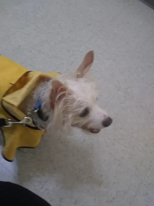 Bayside Veterinary Hospital Picture 10
