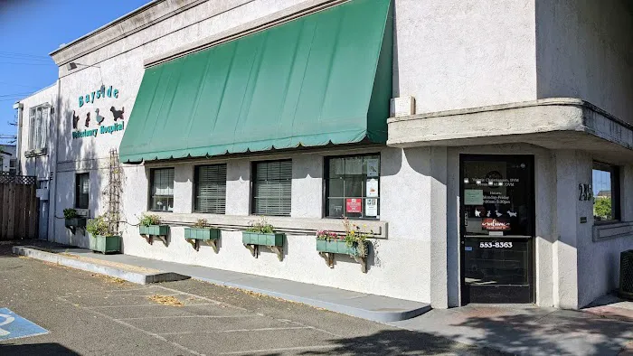 Bayside Veterinary Hospital Picture 1