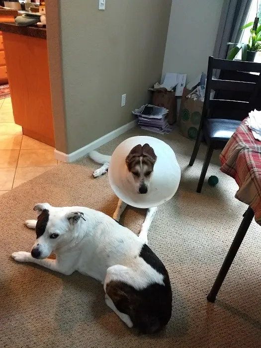 Bayside Veterinary Hospital Picture 3