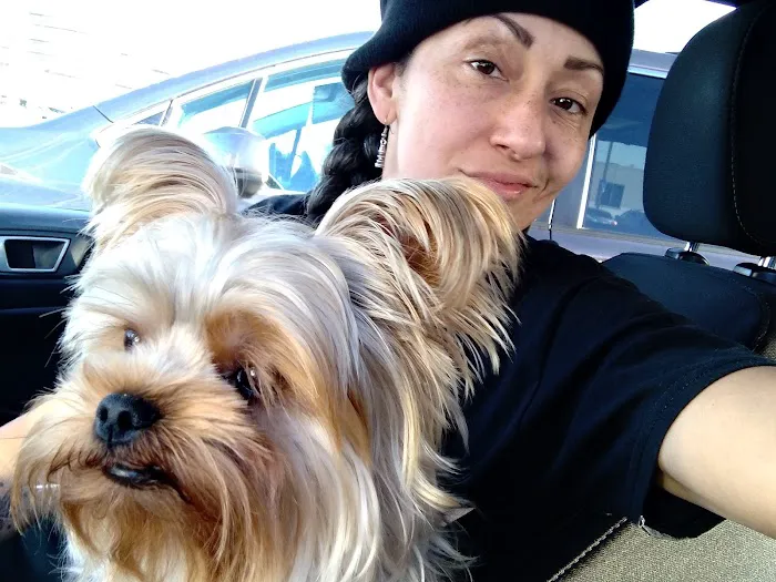 Broadway Pet Hospital Picture 1