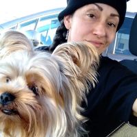 Broadway Pet Hospital ico