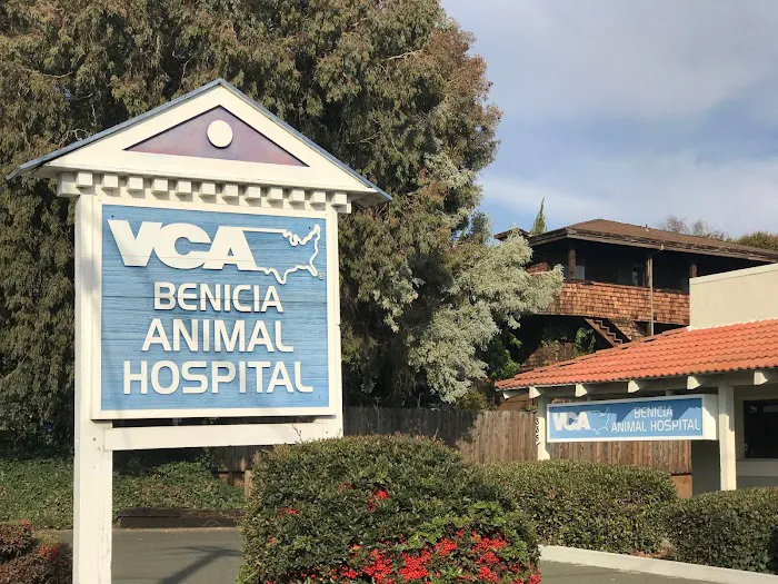 VCA Benicia Animal Hospital Picture 10