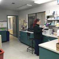 VCA Benicia Animal Hospital ico