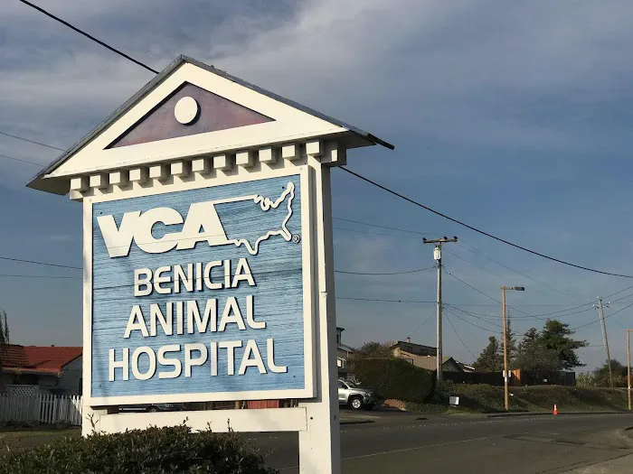 VCA Benicia Animal Hospital Picture 7