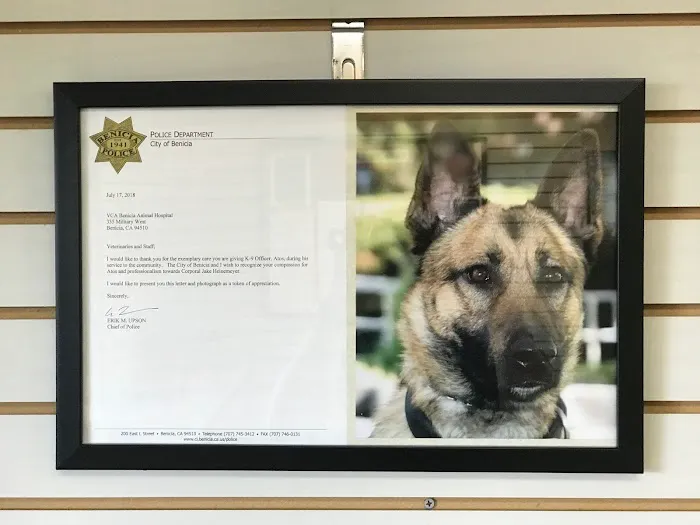 VCA Benicia Animal Hospital Picture 2