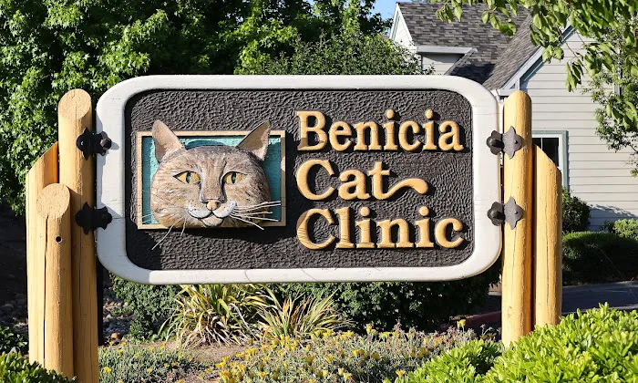 Benicia Cat Clinic Picture 1