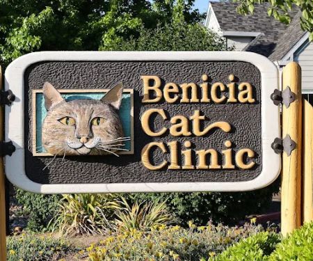 Benicia Cat Clinic