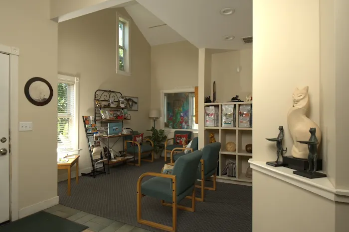 Benicia Cat Clinic Picture 7