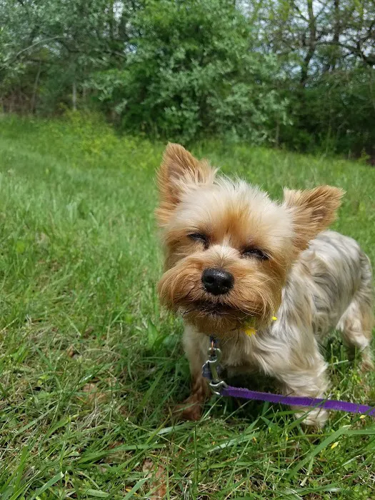 Oldham County Veterinary Services, LLC Picture 7