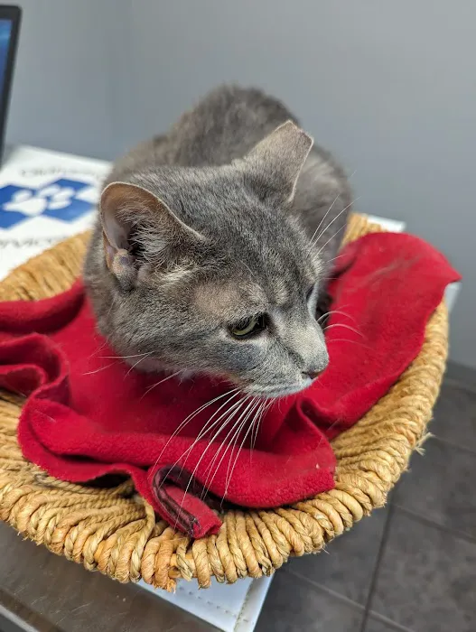 Oldham County Veterinary Services, LLC Picture 1